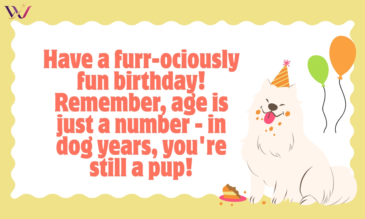 Dog Birthday Quotes: 250+ Wishes for Your Furry Best Friend