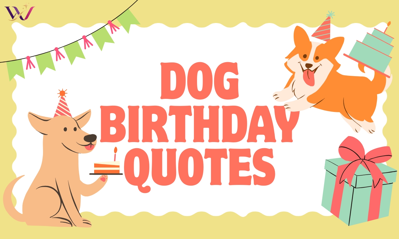 Dog Birthday Quotes: 250+ Wishes for Your Furry Best Friend
